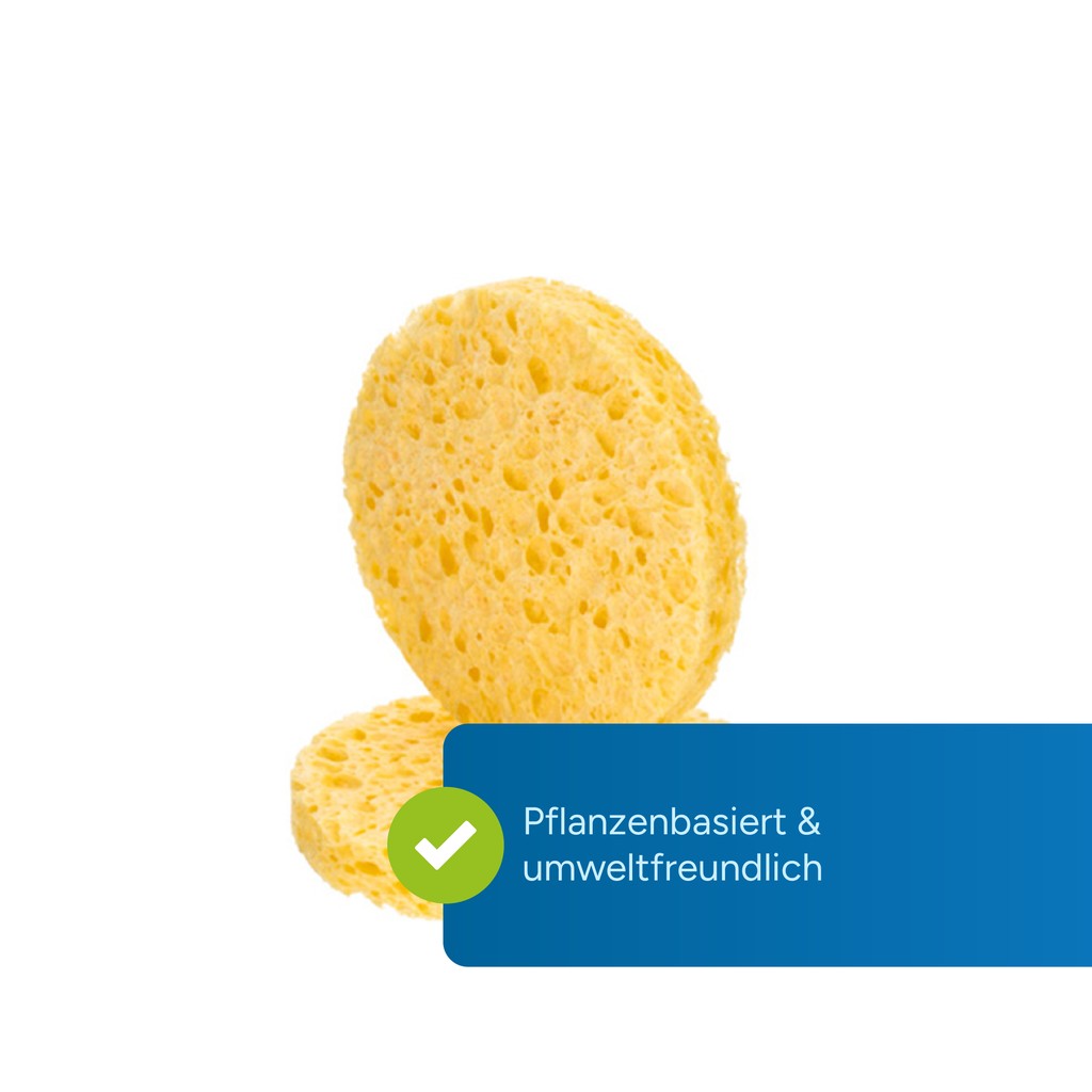 Marketing highlight 2