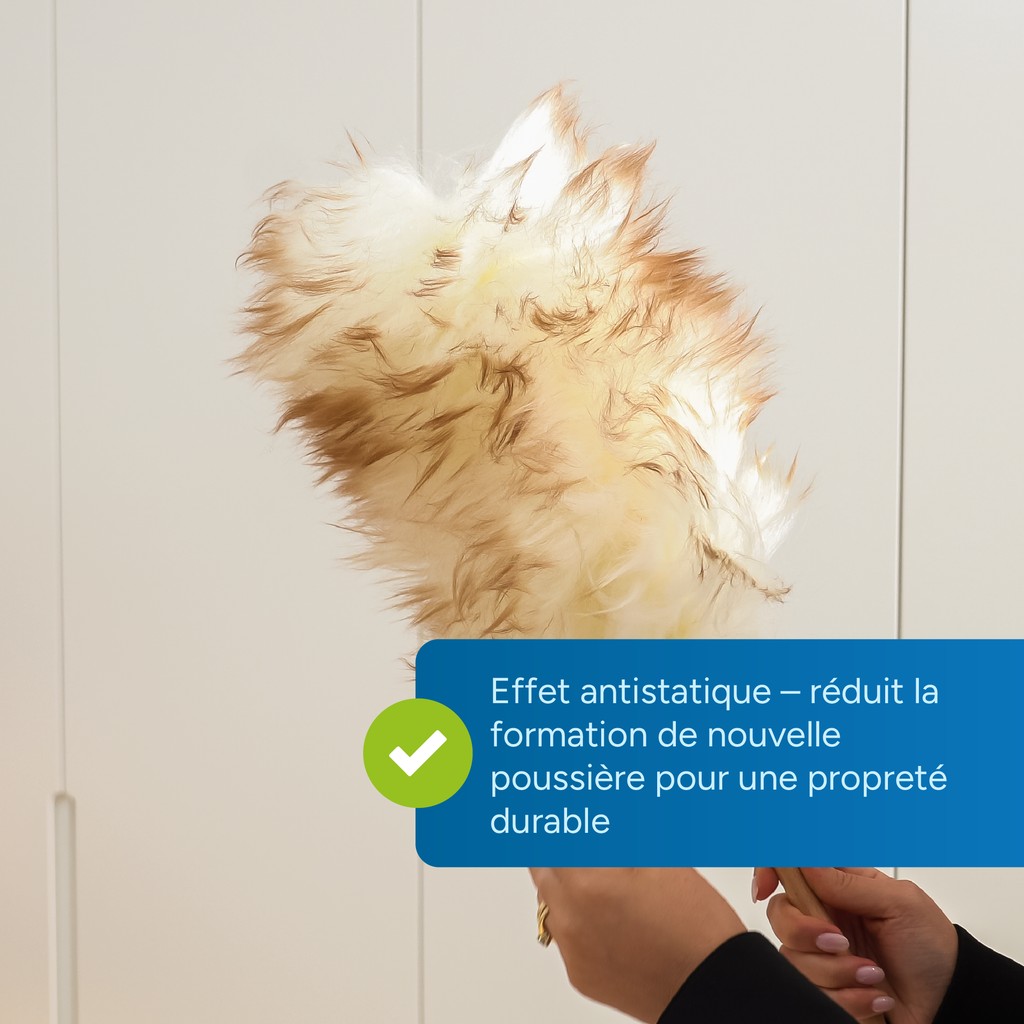 Marketing highlight 2