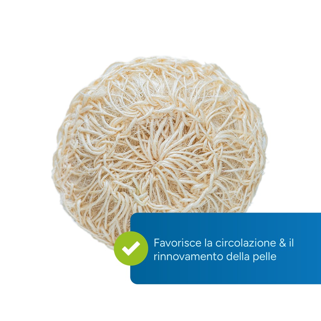 Marketing highlight 2