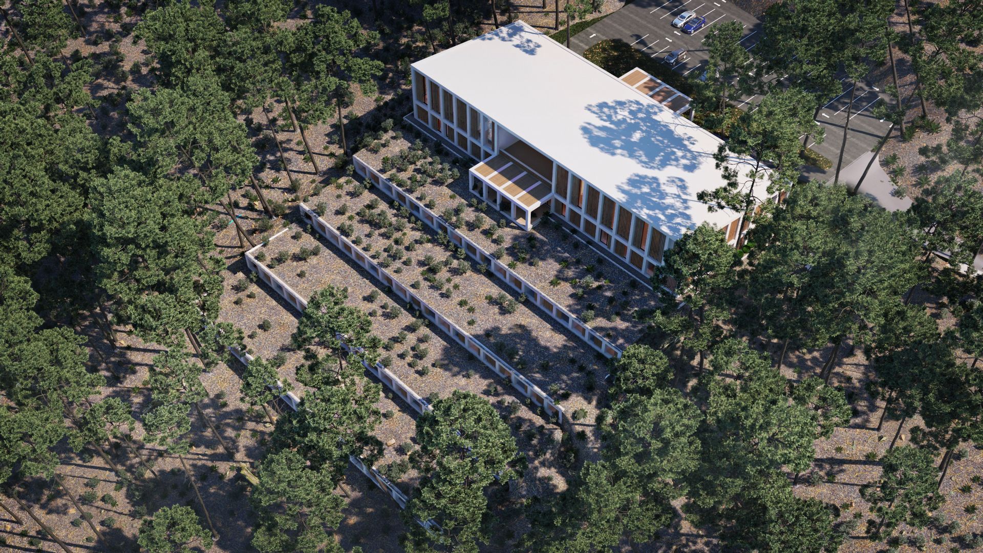 Forest Hotel 